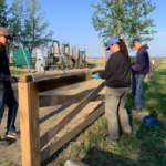 Three employees staining fence around playground