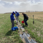 Three summer students planting trees into tree row